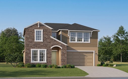 House in Land O' Lakes, Florida, United States 1