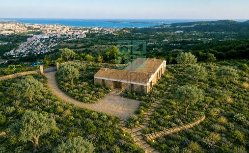 Finca a Palmela, Setúbal Municipality, Portogallo 1