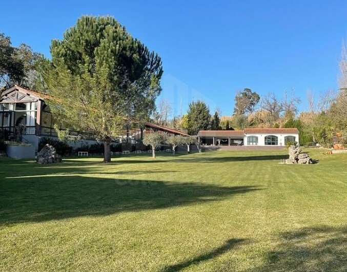 Finca à Sao Martinho de Arvore e Lamarosa, District de Coimbra, Portugal 1 - 18560072