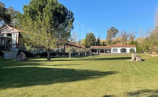 Finca a Sao Martinho de Arvore e Lamarosa, Distretto di Coimbra, Portogallo 1