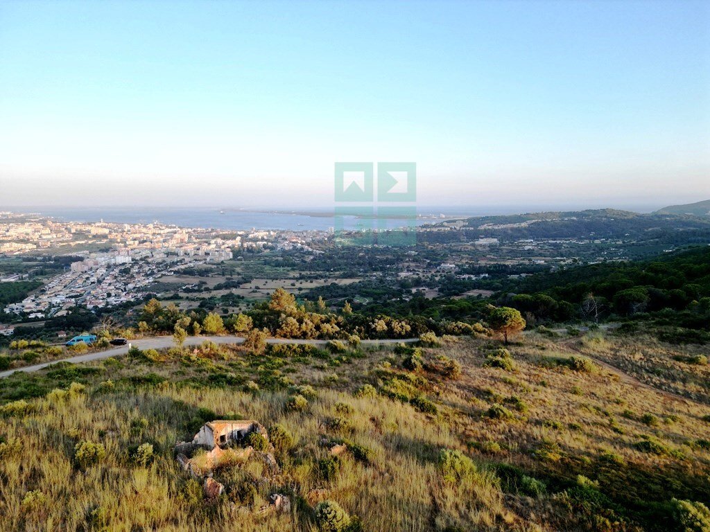Finca a Palmela, Setúbal Municipality, Portogallo 5 - 18566177