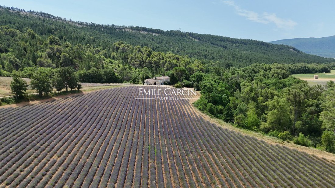 Villa in Céreste-en-Luberon, Provence-Alpes-Côte d'Azur, France 3 - 18560235