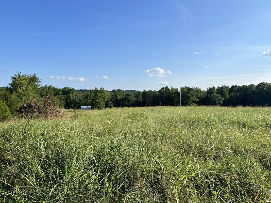 House in Murray, Kentucky, United States 3 - 18558367