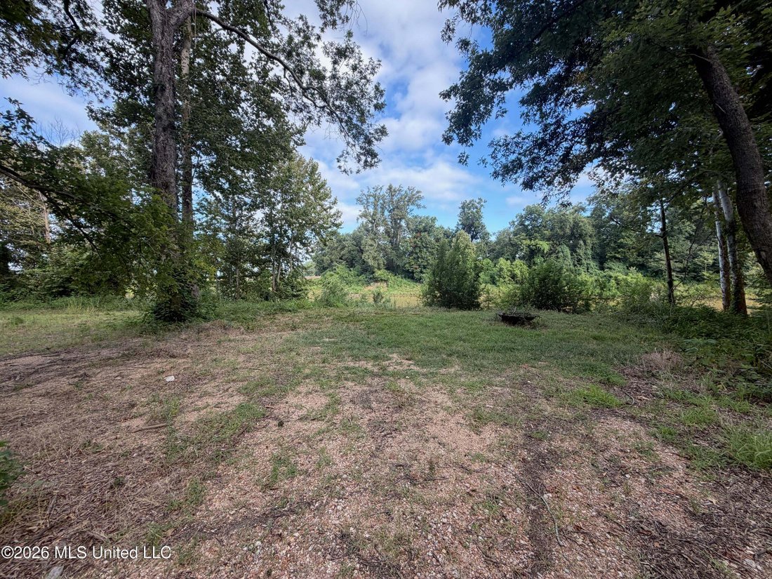 Greenwood, Mississippi, United States 3 - 18560907