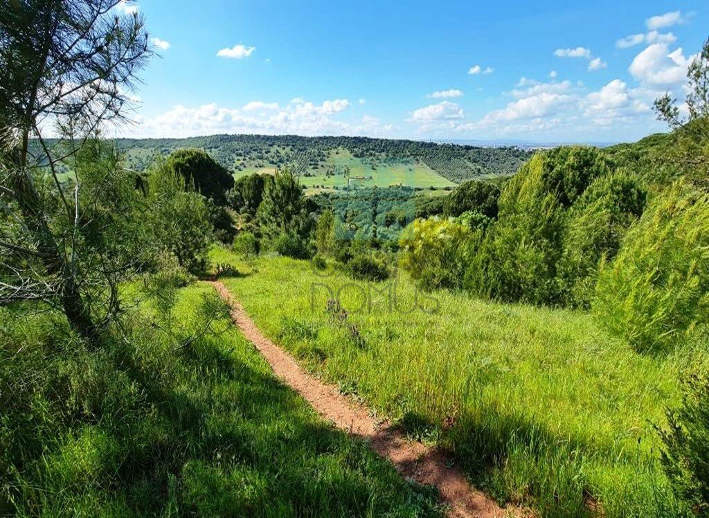 Finca a Palmela, Setúbal Municipality, Portogallo 4 - 18566177
