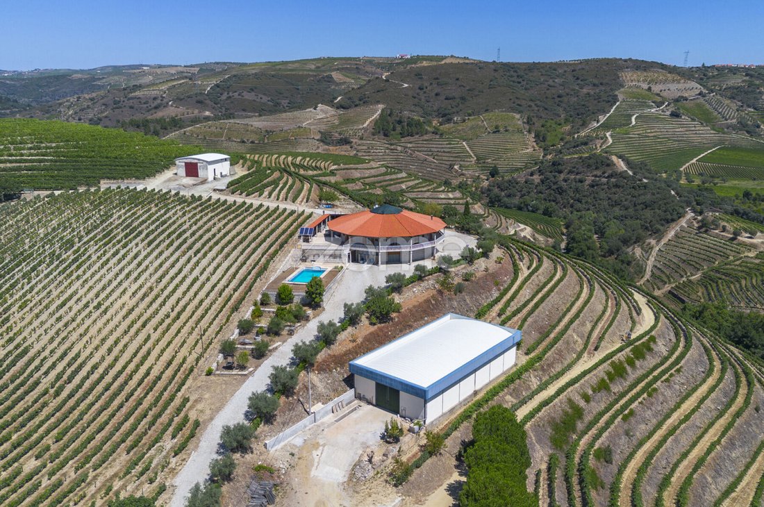 Finca in Valongo dos Azeites, Viseu District, Portugal 3 - 18563391