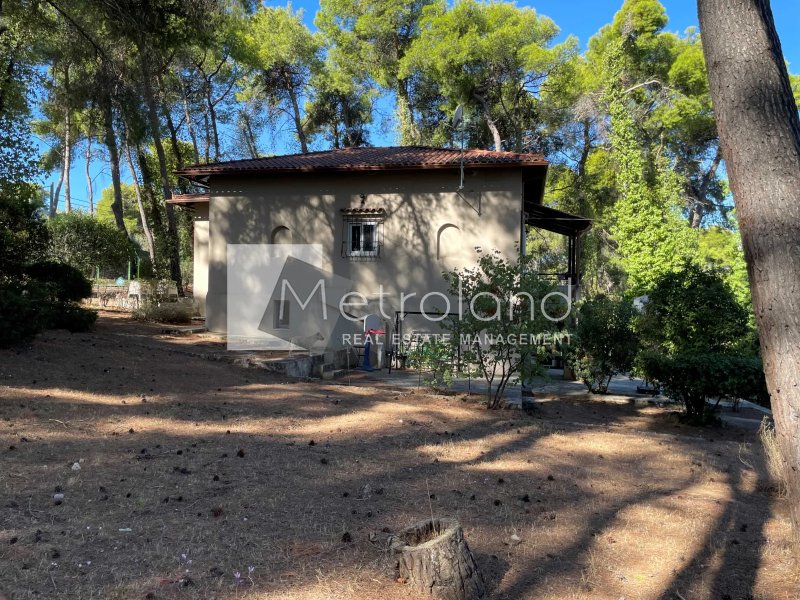 Villa in Ekali, Attica, Greece 4 - 18556330