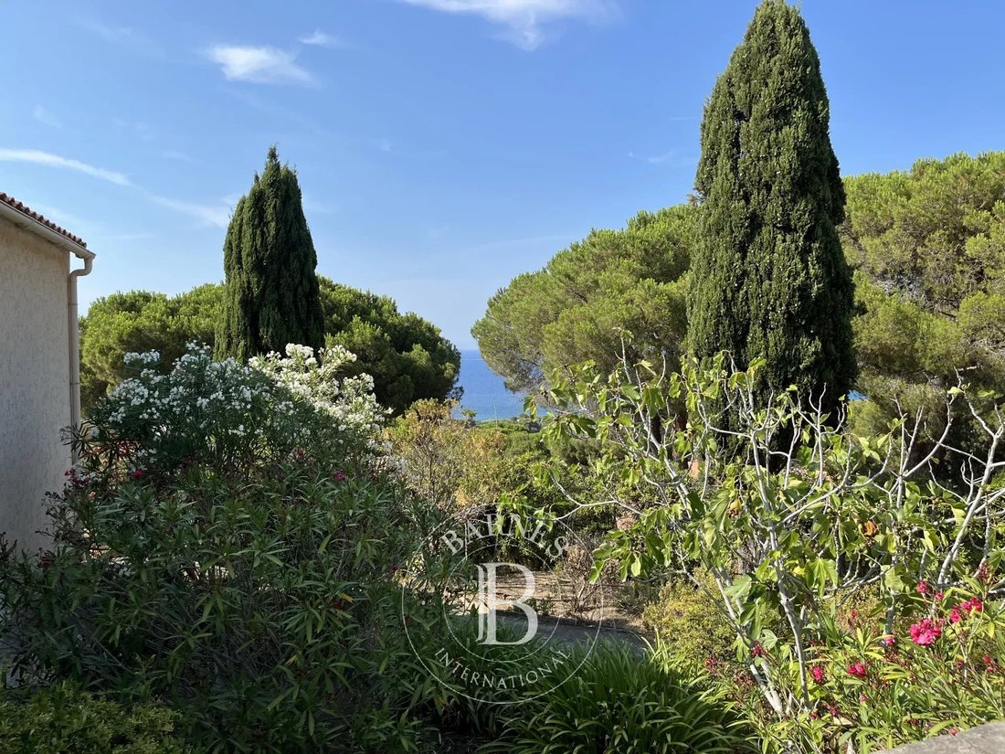 Villa in Corbara, Corsica, France 4 - 18559737