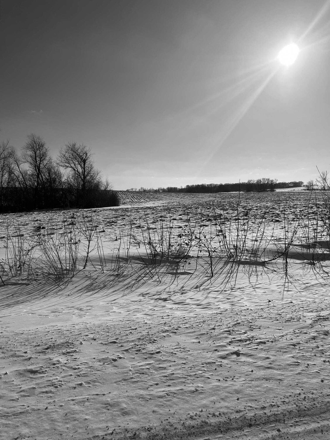 Land in Northfield, Minnesota, United States 5 - 18564996