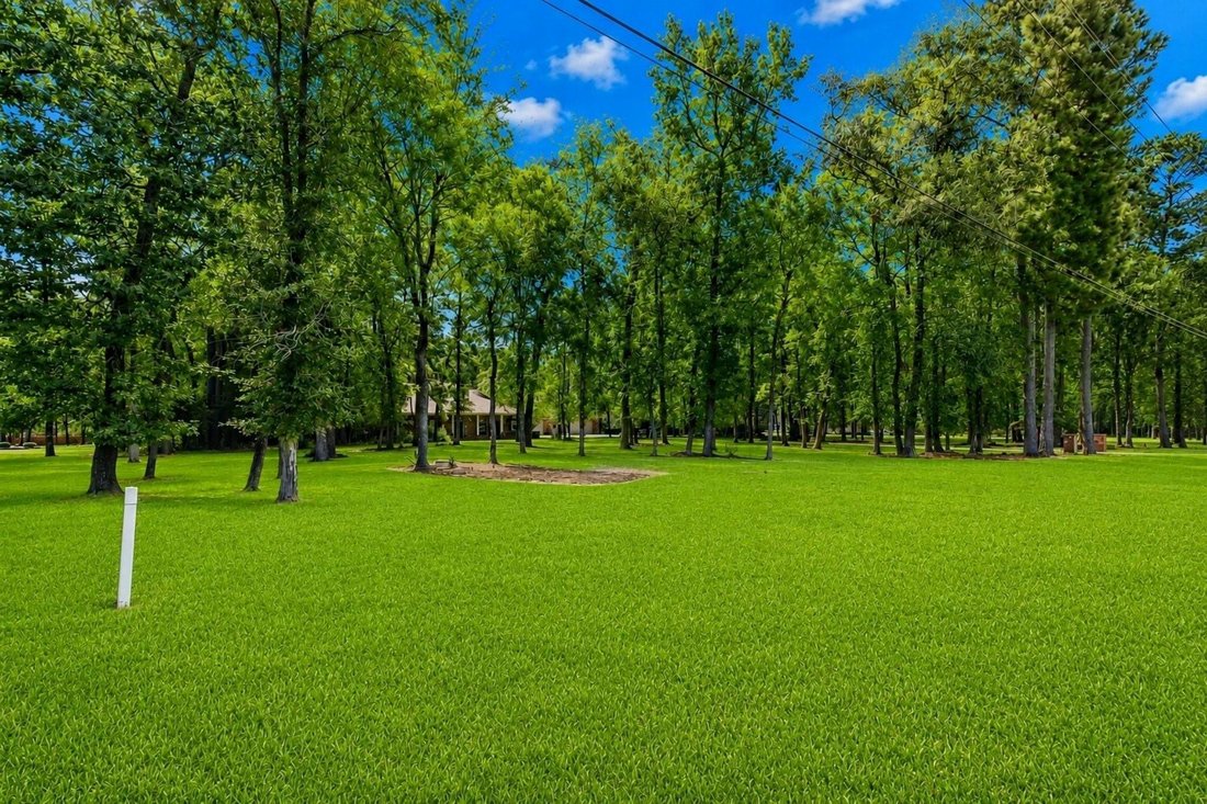 House in Magnolia, Texas, United States 3 - 18565627