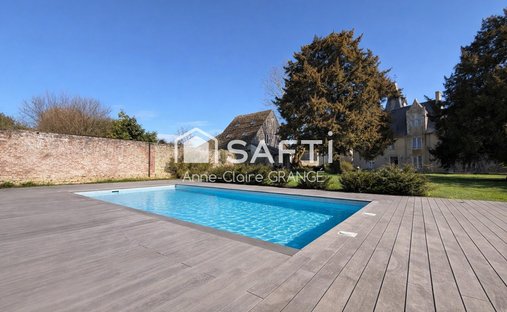 House in Coulans-sur-Gee, Pays de la Loire, France 1