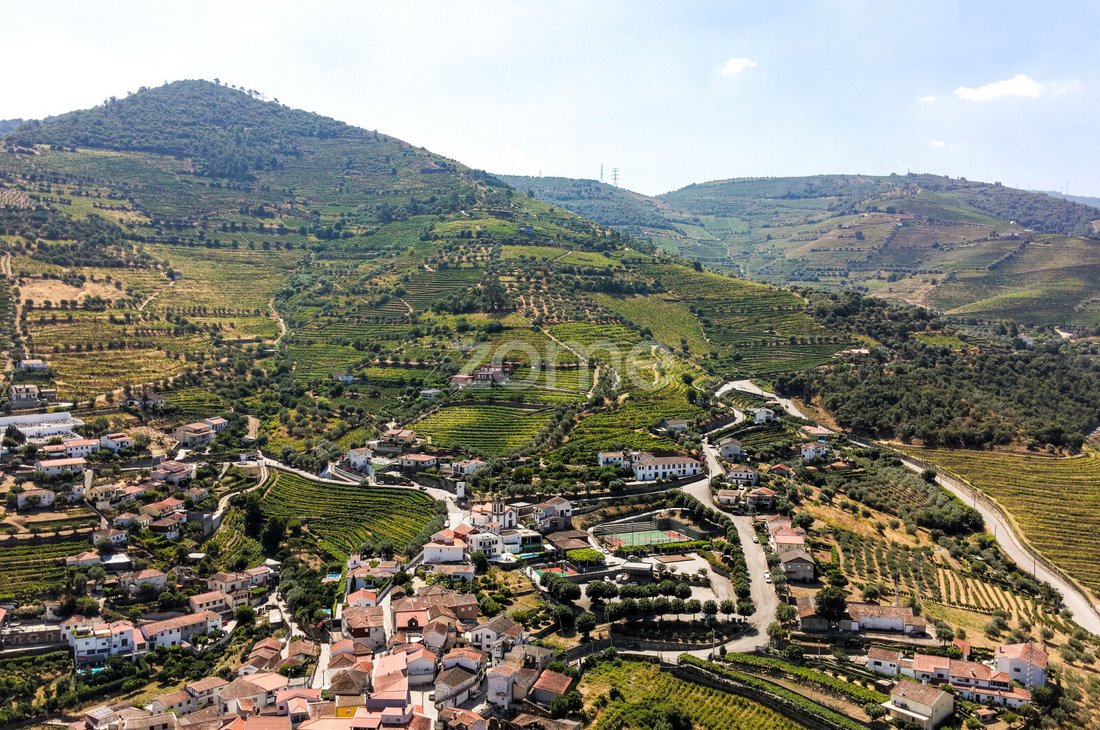 Finca in Folgosa, Viseu District, Portugal 4 - 18563451