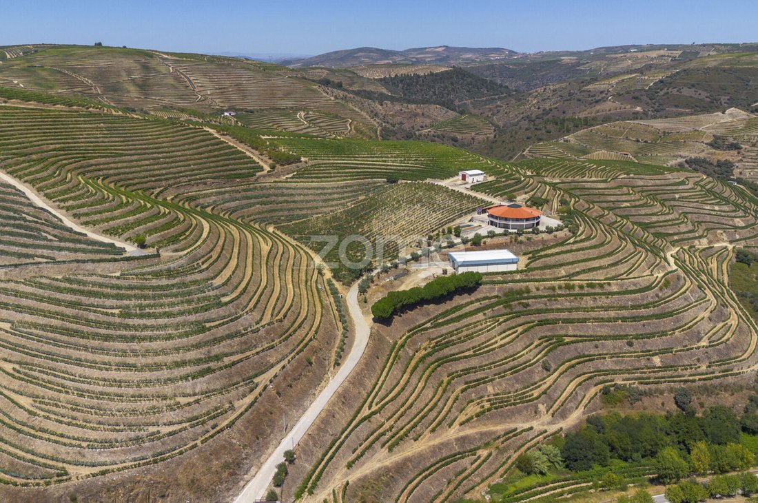 Finca in Valongo dos Azeites, Viseu District, Portugal 1 - 18563391