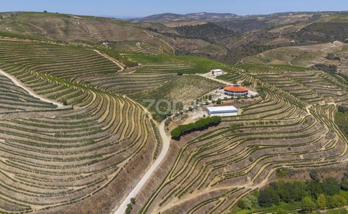Finca a Valongo dos Azeites, Distretto di Viseu, Portogallo 1