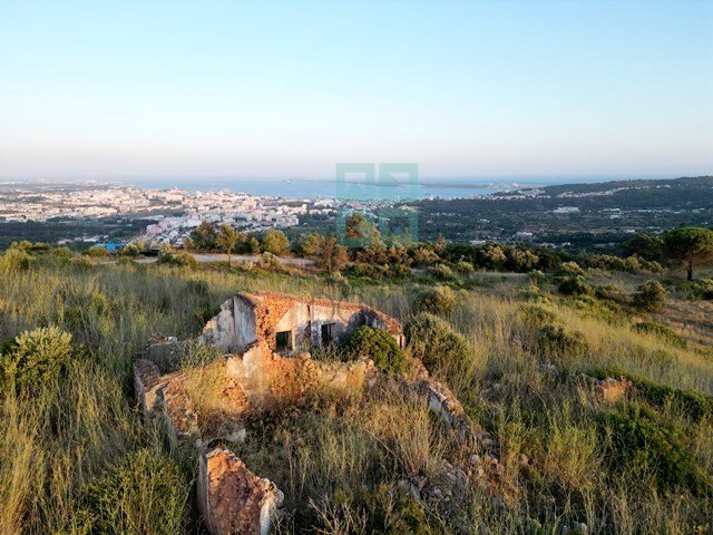 Finca a Palmela, Setúbal Municipality, Portogallo 2 - 18566177