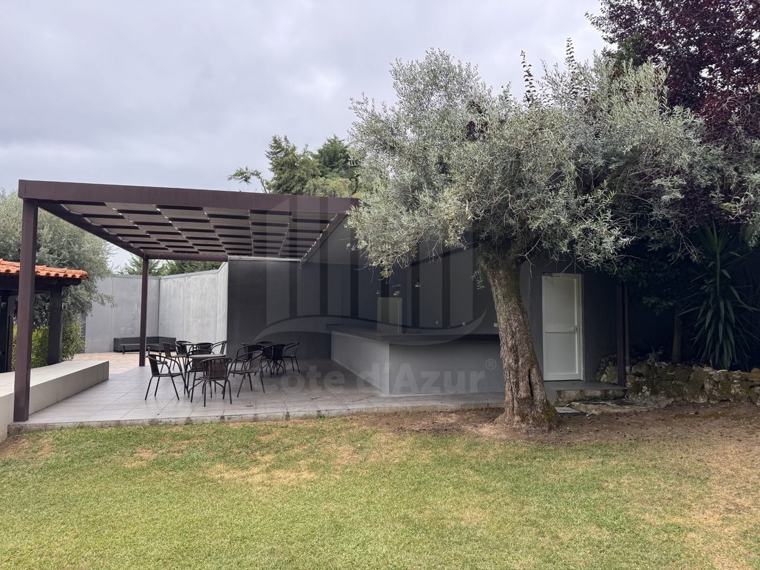 Finca à Sao Martinho de Arvore e Lamarosa, District de Coimbra, Portugal 3 - 18560072