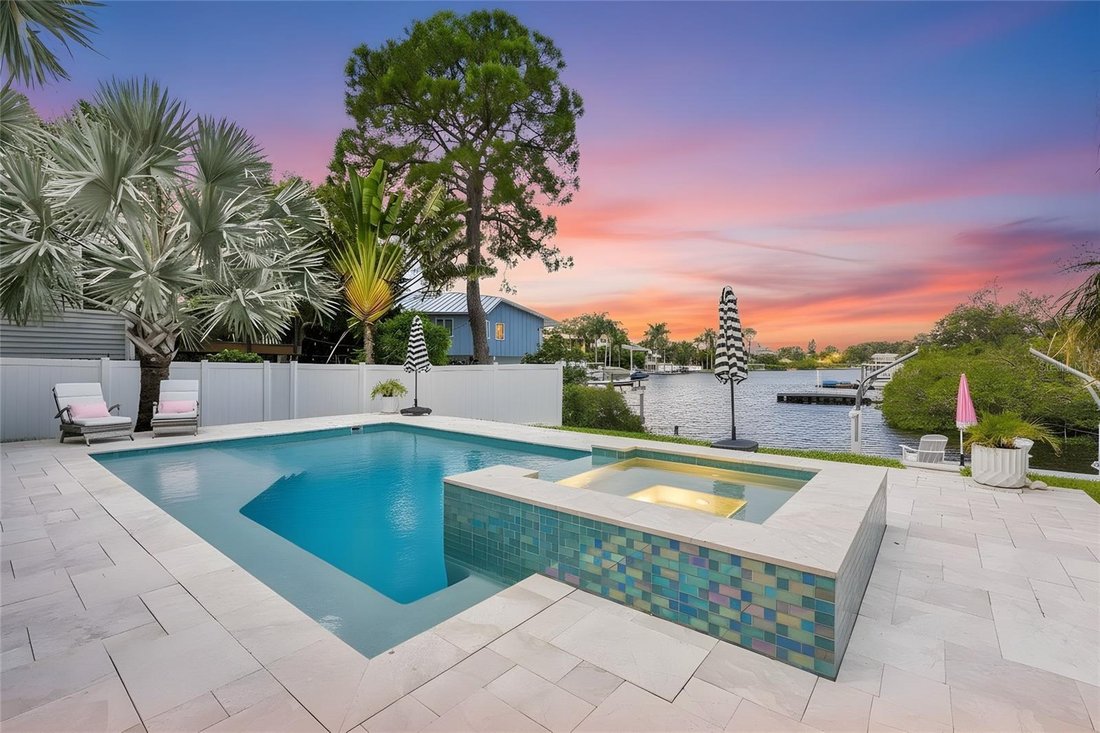 House in Palm Harbor, Florida, United States 4 - 18561668