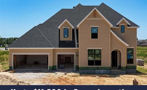 House in Tontitown, Arkansas, United States 1
