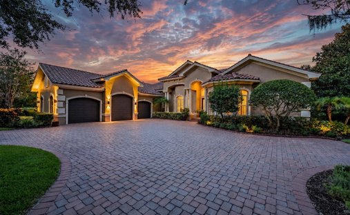 House in Palm Harbor, Florida, United States 1