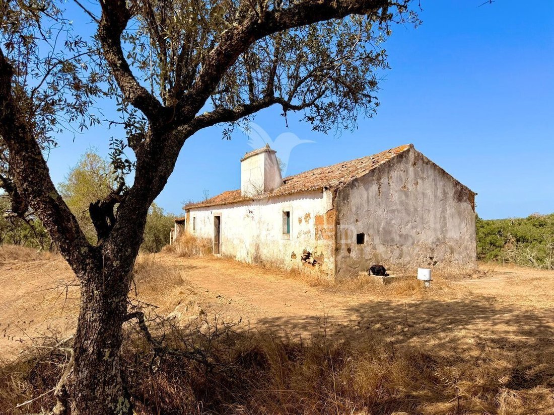 Farm Ranch in Sao Francisco da Serra, Setubal, Portugal 4 - 18565959