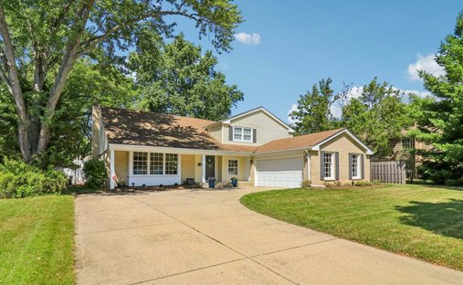House in Palatine, Illinois, United States 1
