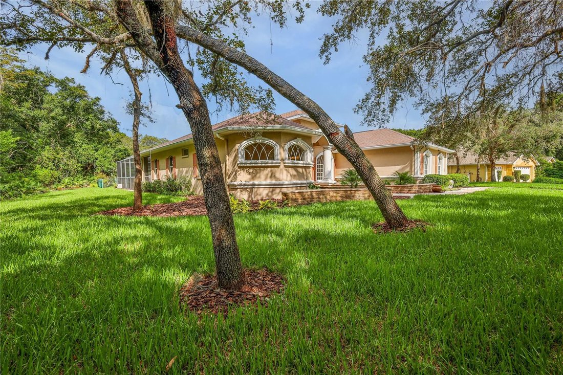 House in New Port Richey, Florida, United States 2 - 18565274
