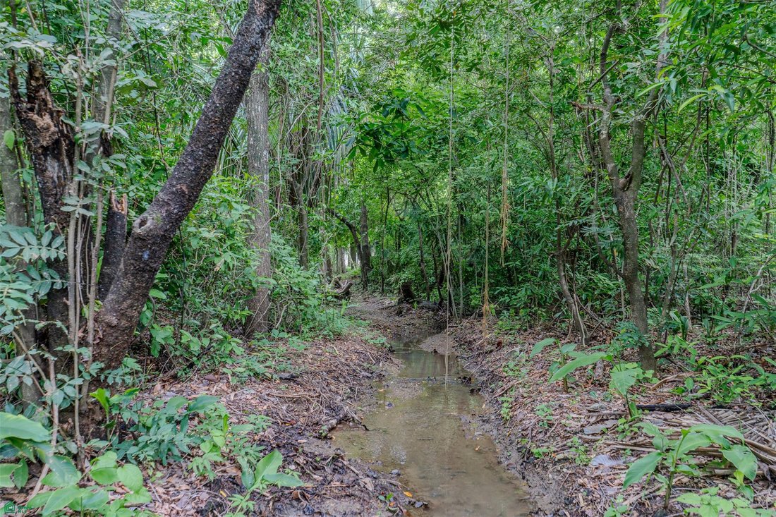 Land in Playa Pelada, Guanacaste Province, Costa Rica 5 - 18561421