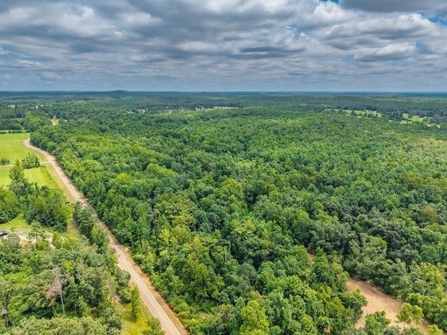 Land in Taylor, Mississippi, United States 3 - 18564168