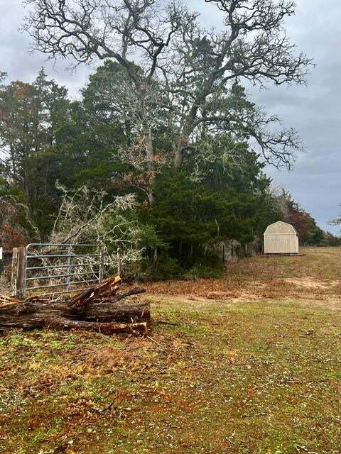 House in New Ulm, Texas, United States 1 - 18518797