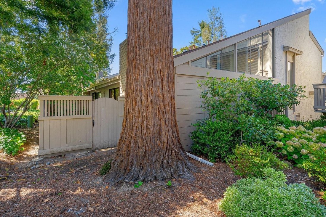 Condo in Saratoga, California, United States 5 - 18561494