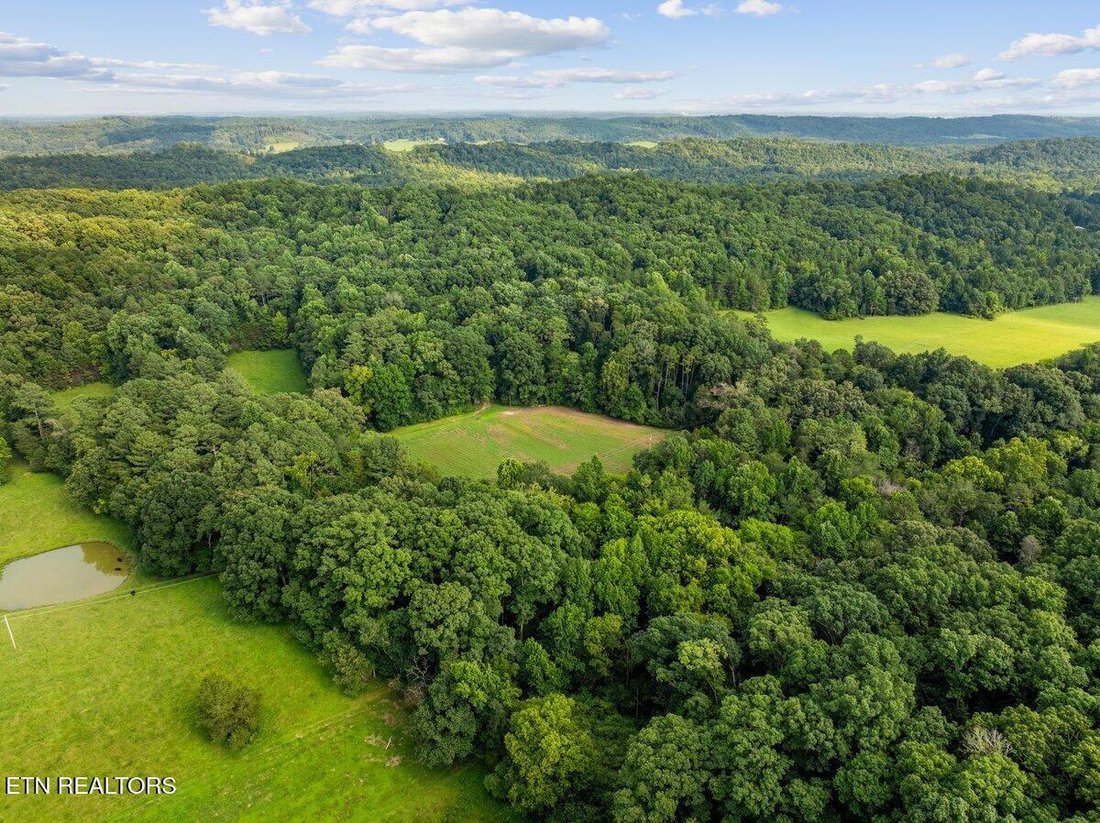 Land in Athens, Tennessee, United States 4 - 18562631
