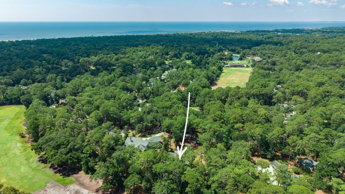 House in Hilton Head Island, South Carolina, United States 3 - 18565976