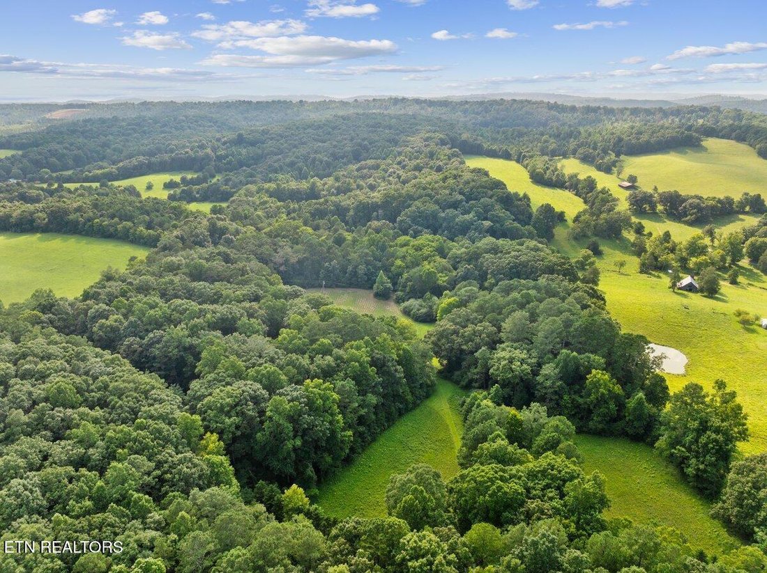 Land in Athens, Tennessee, United States 3 - 18562631