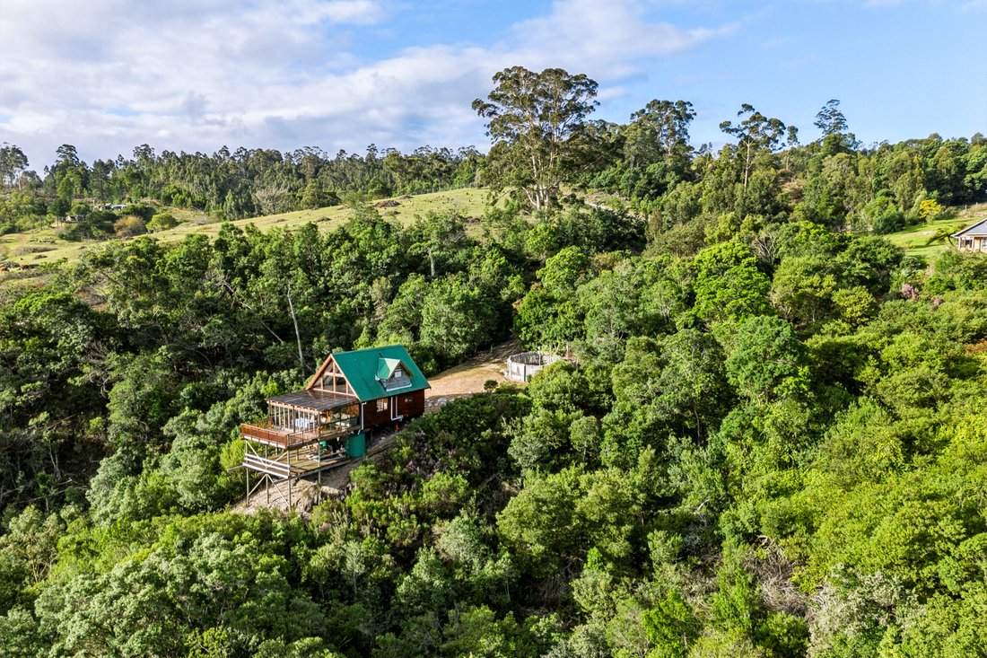 Farm Ranch in Knysna, Westkap, Südafrika 2 - 18558848