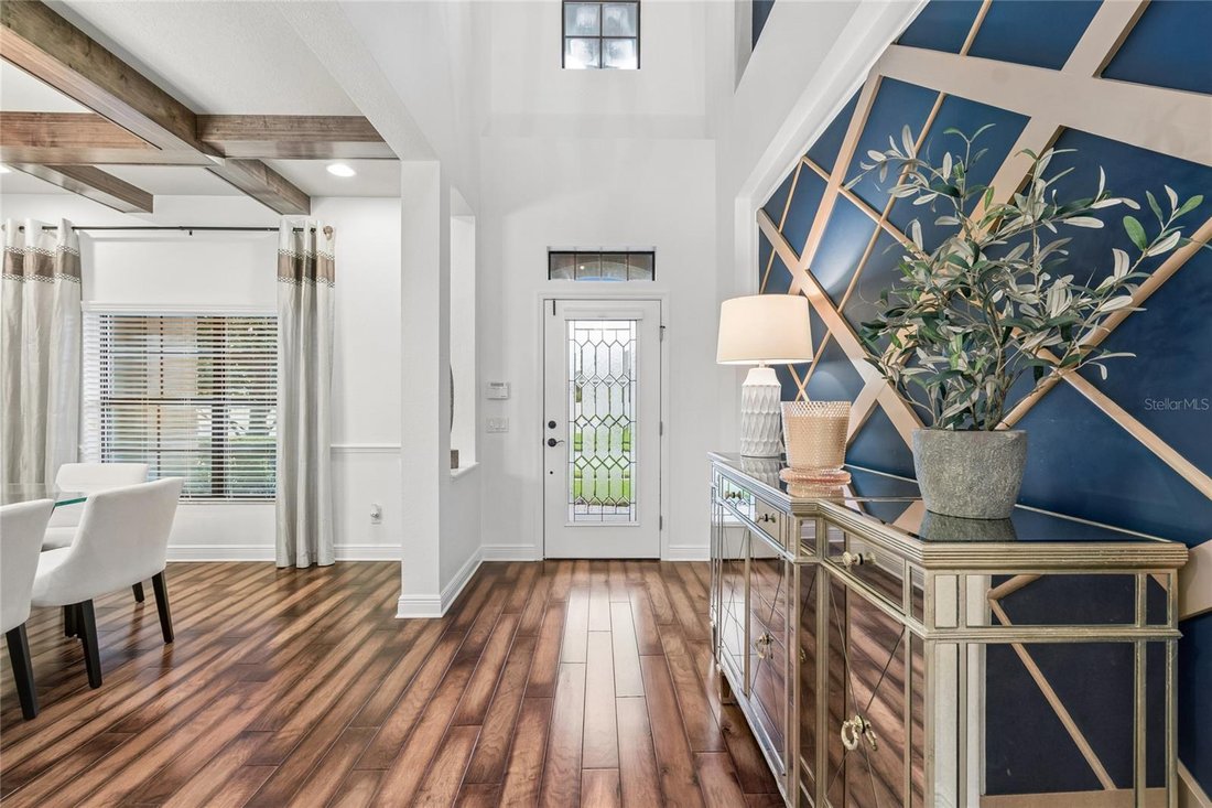House in Land O' Lakes, Florida, United States 5 - 18565265