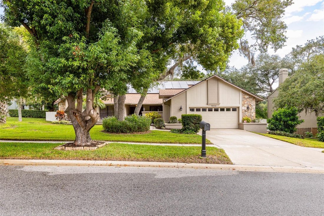 Casa a Palm Harbor, Florida, Stati Uniti 1 - 18561775