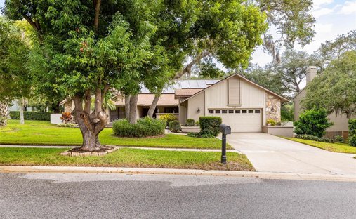 House in Palm Harbor, Florida, United States 1