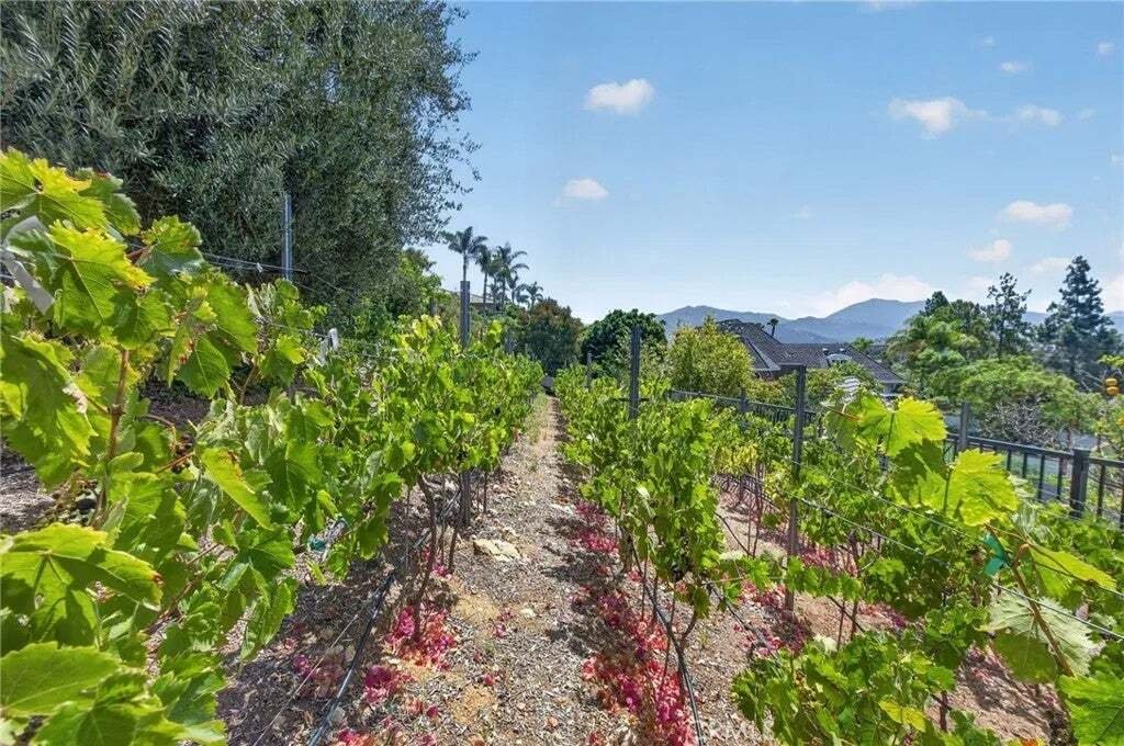 House in Poway, California, United States 5 - 18562205