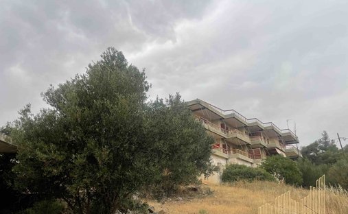 Markopoulo Mesogaias, Attica, Greece 1