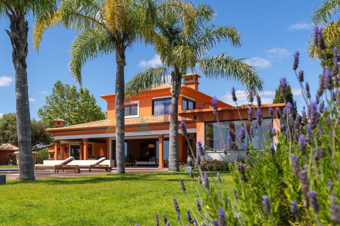 Villa in Boliqueime, Algarve, Portugal 1 - 16544594