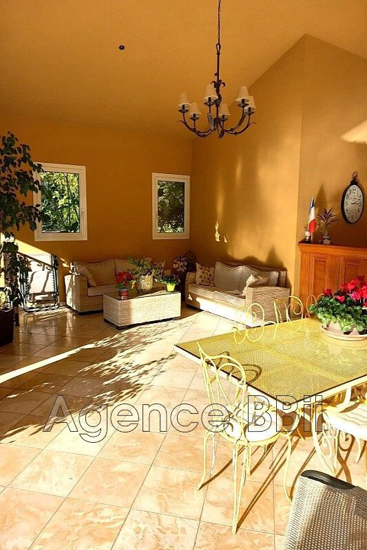 Villa in Mougins, Provence-Alpes-Côte d'Azur, France 4 - 18565737