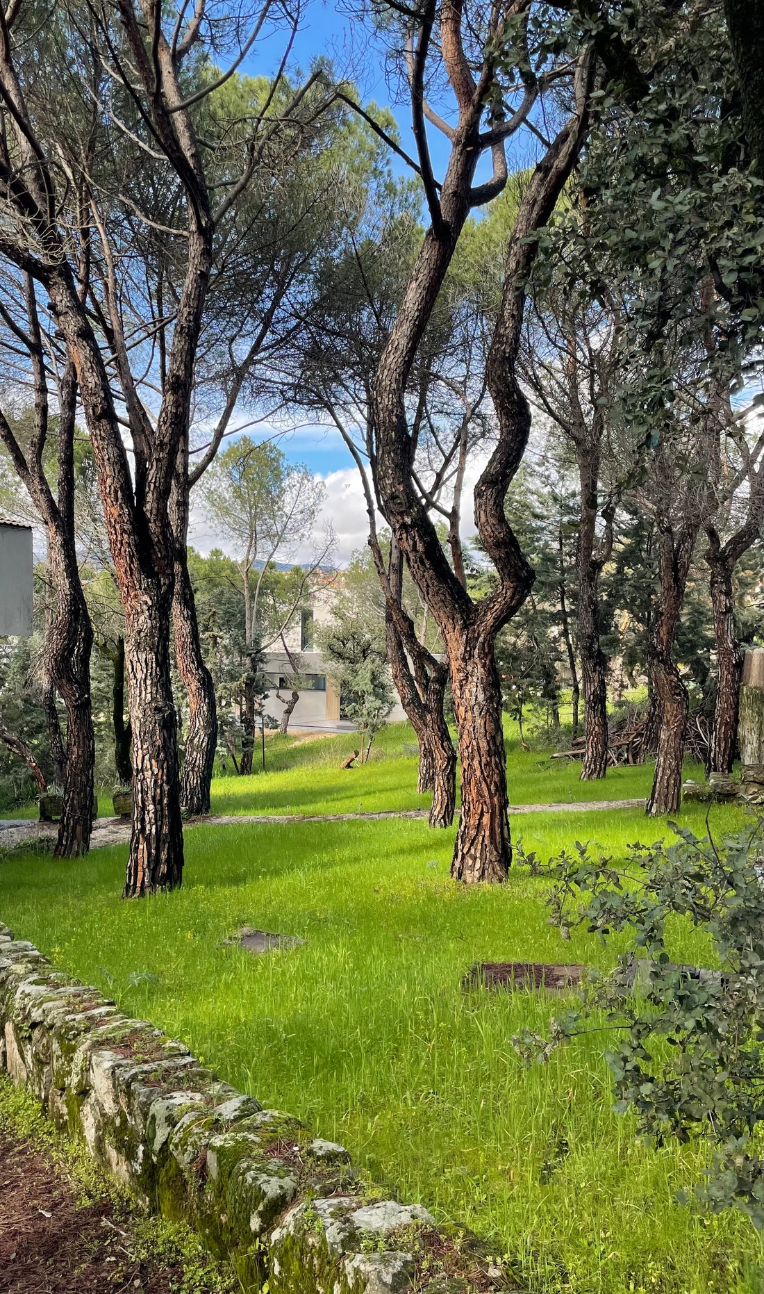 House in Las Rozas de Madrid, Comunidad de Madrid, Spain 5 - 18563450