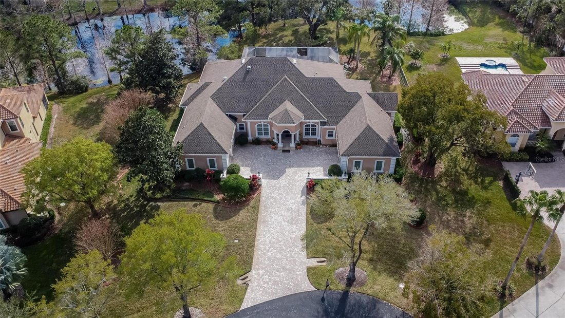 House in Odessa, Florida, United States 3 - 18558631