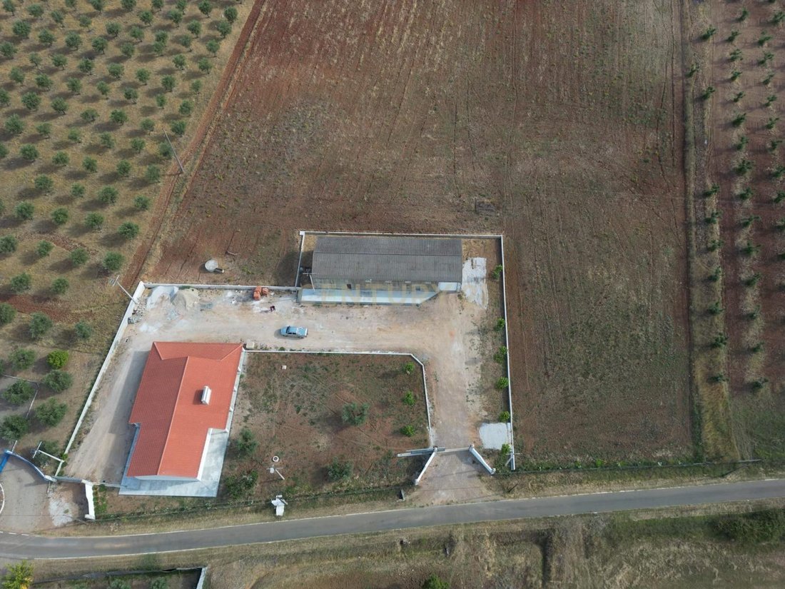 Farm Ranch in Avis, Portalegre, Portugal 1 - 18325202