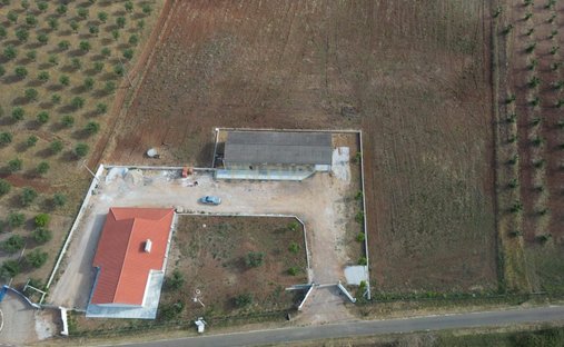 Azienda agricola a Avis, Distretto di Portalegre, Portogallo 1
