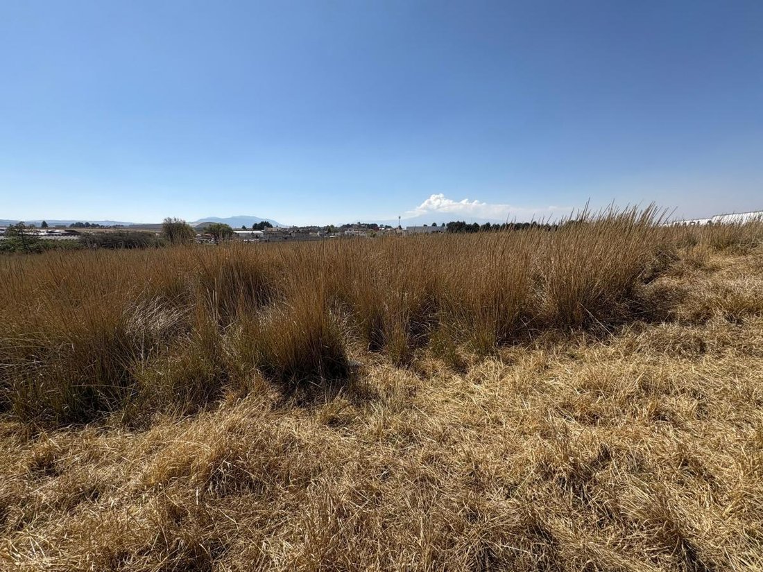 Land in Santiago Tianguistenco, State of Mexico, Mexico 3 - 18560750
