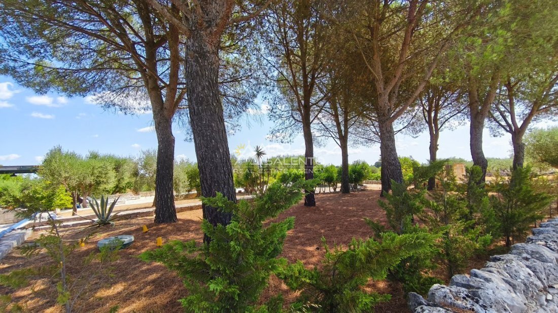 Country House in Ospedale - San Michele - Piazza Crispi, Martina Franca, Apulia 4 - 18564938