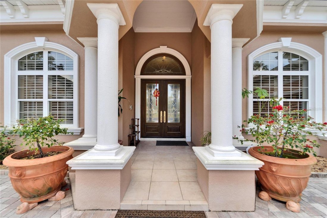House in Odessa, Florida, United States 5 - 18558631