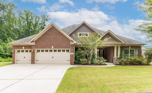 House in Madison, Alabama, United States 1