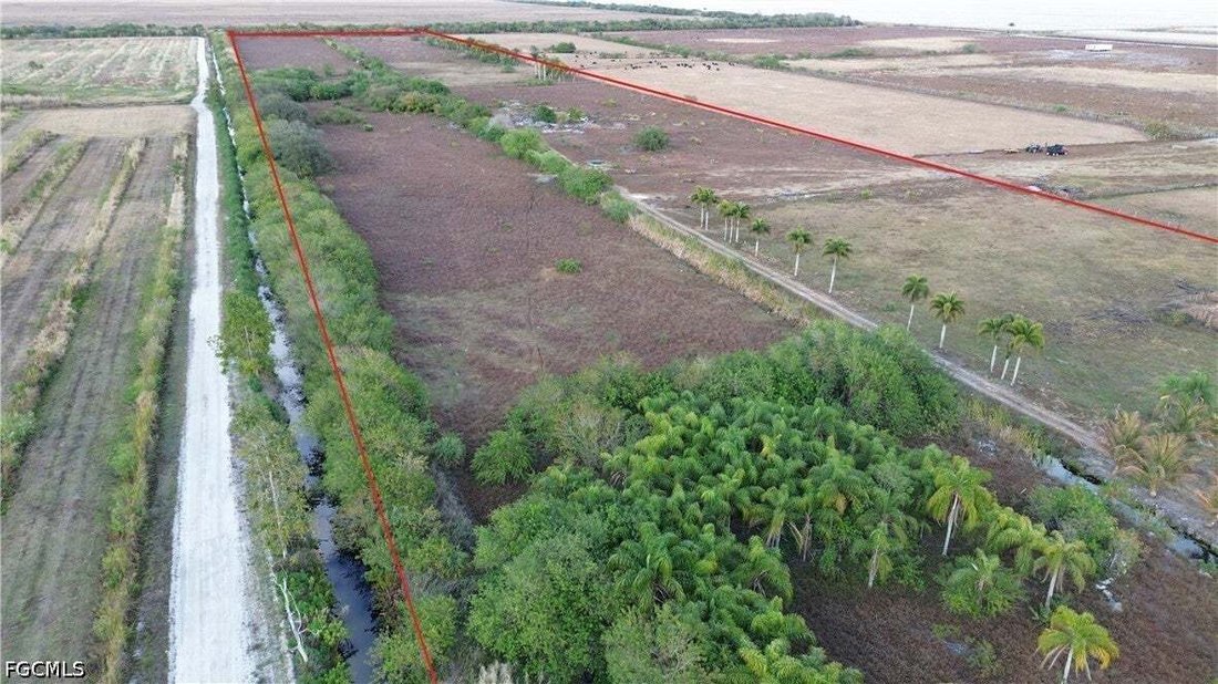 Clewiston, Florida, United States 4 - 18561078